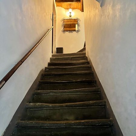 Navona Fox House Apartment Rome Exterior photo